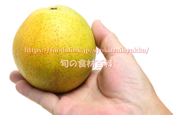 青梨 八里（やさと）