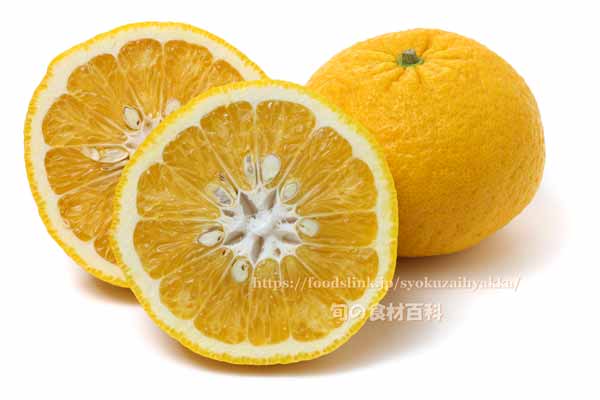 サマーキングの断面 柑橘