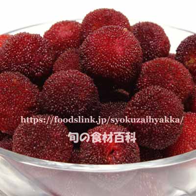 ヤマモモ（山桃／やまもも）保存方法や食べ方：旬の果物百科