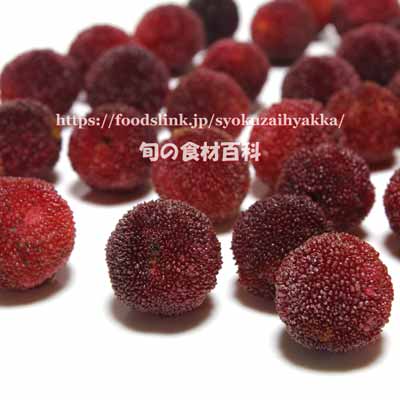 ヤマモモ（山桃／やまもも）の画像一覧：旬の果物百科