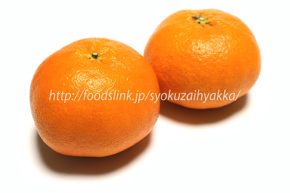 甘平 かんぺい タンゴール 柑橘類 旬の果物百科