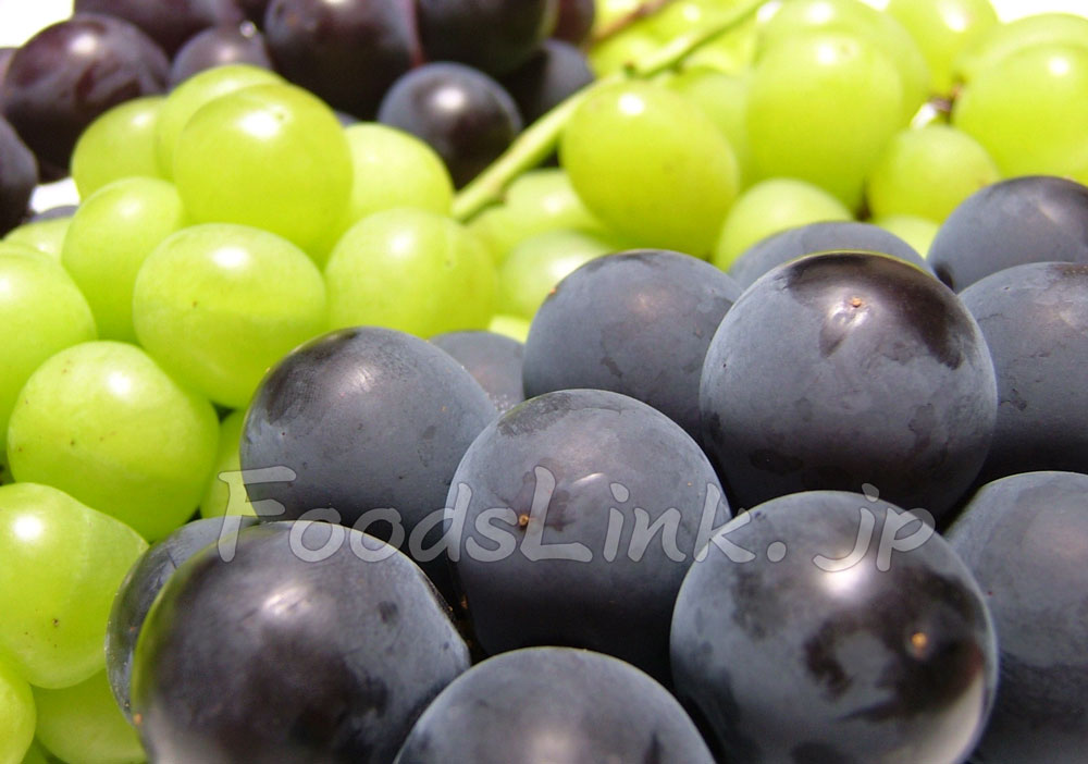 ブドウ 葡萄 ぶどう の栄養価と効能 旬の果物百科