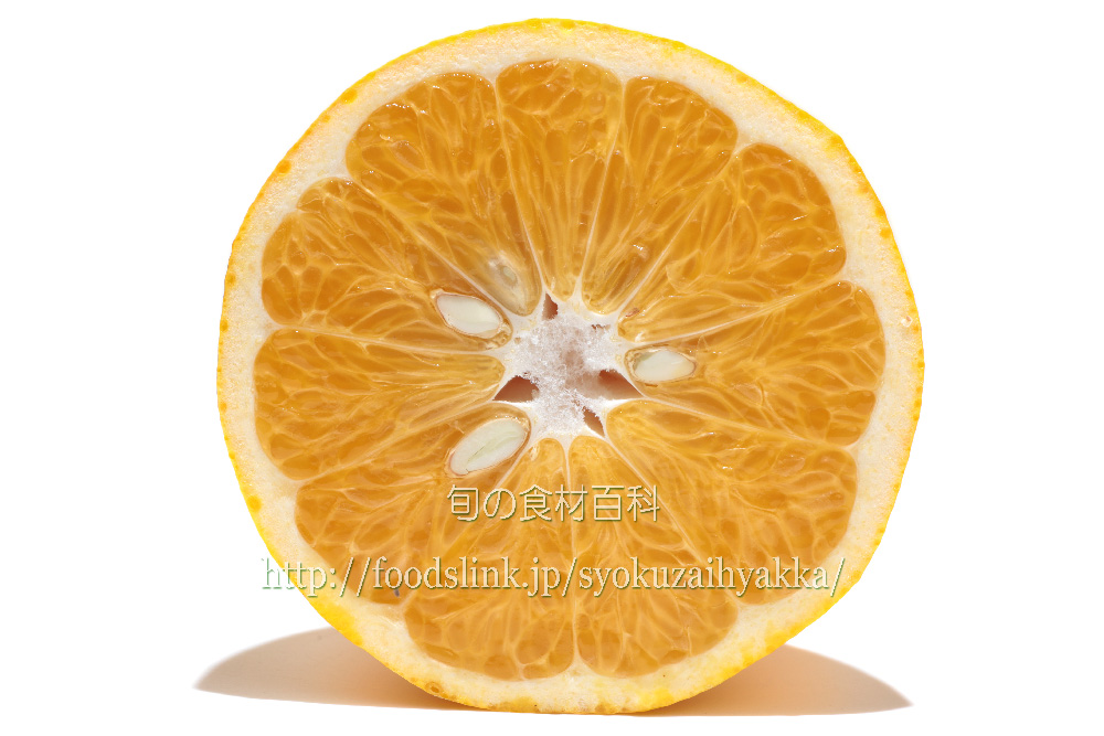 ナツミカン（夏みかん）／夏橙（なつだいだい）：旬の果物百科