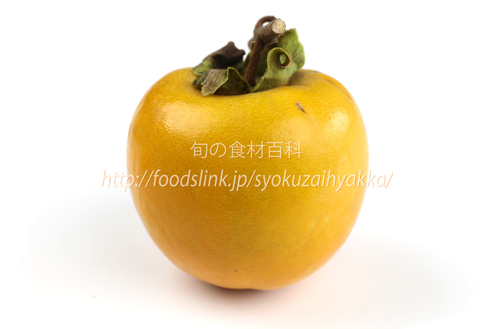 写真で見る禅寺丸（ぜんじまる）柿＜不完全甘柿の品種：旬の果物百科