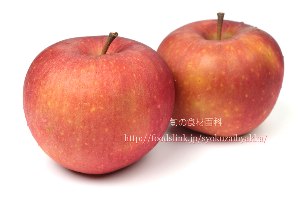 恋空 こいぞら あおり16 リンゴの品種 旬の果物百科