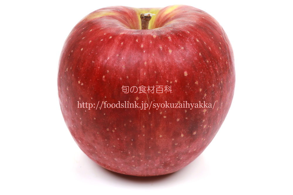 つがる／サンつがる＜リンゴの品種：旬の果物百科
