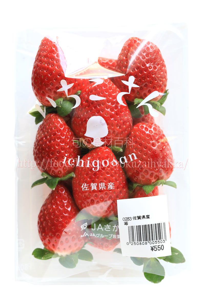 いちごさん 佐賀i9号 イチゴの品種 旬の果物百科