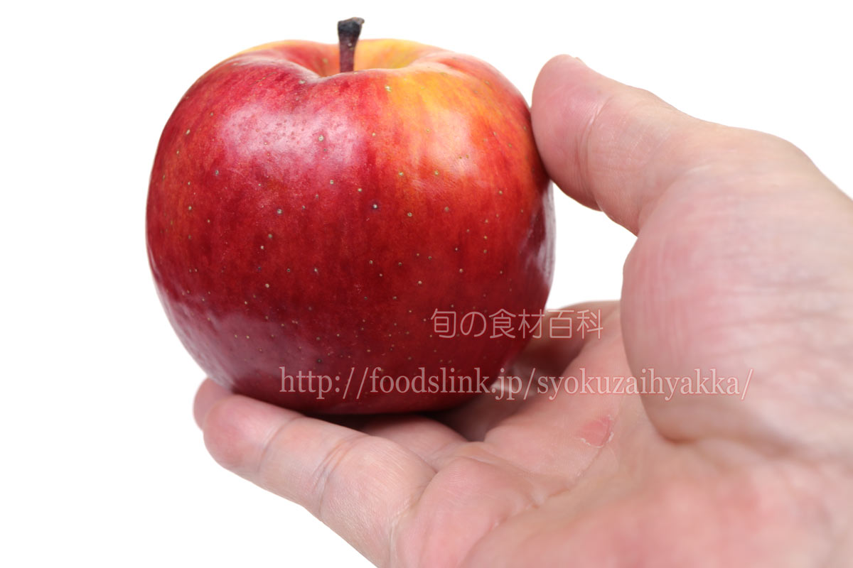 こみつ こうとく 高徳 りんごの品種 旬の果物百科