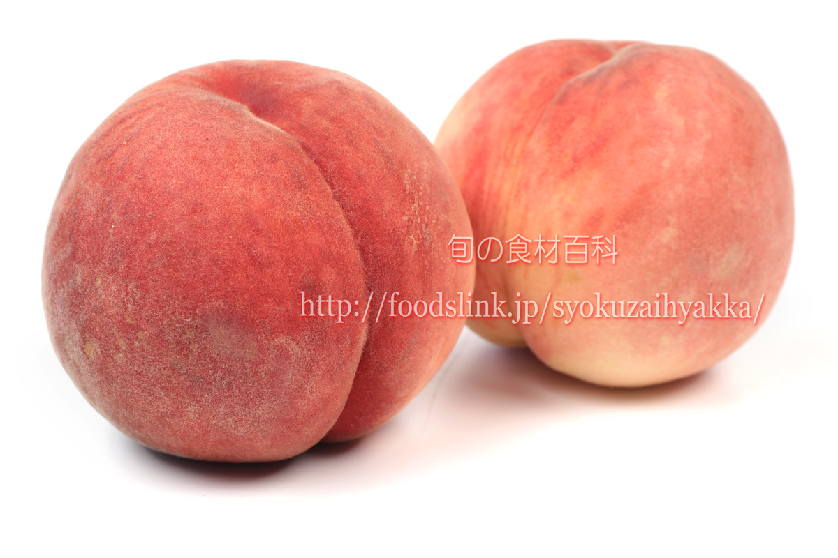 おどろき 桃の品種 旬の果物百科