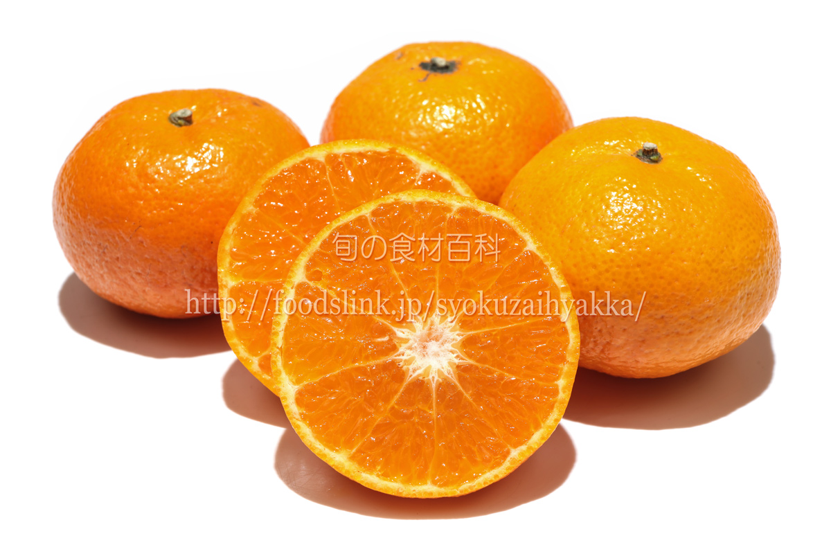 マンダリン オレンジ