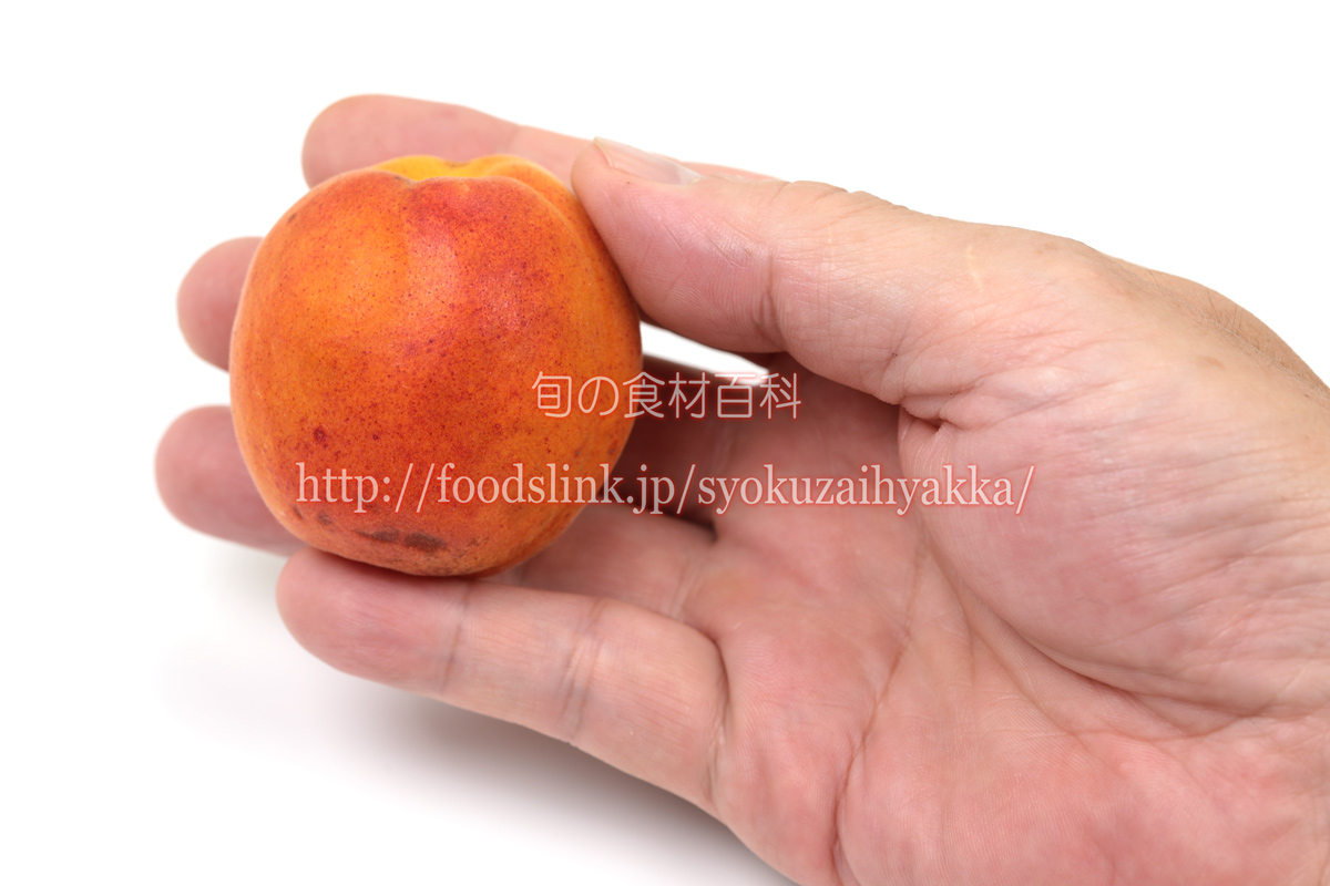 あんず アンズ 杏子の選び方と保存方法と食べ方 旬の果物百科