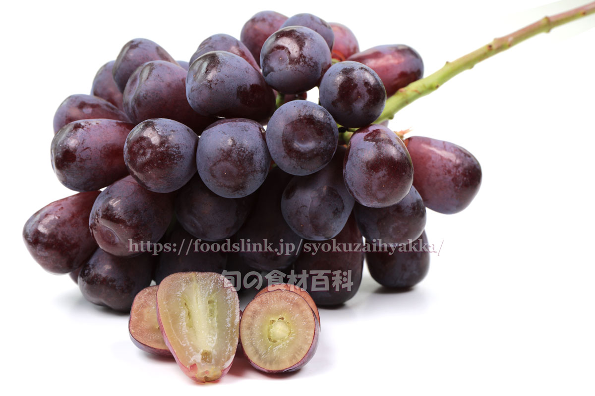 写真で見るハイ ベリー ブドウ品種 旬の果物百科