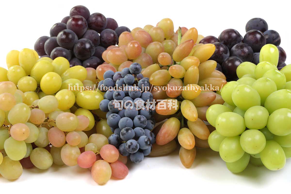 色々なぶどうの集合写真：旬の果物百科
