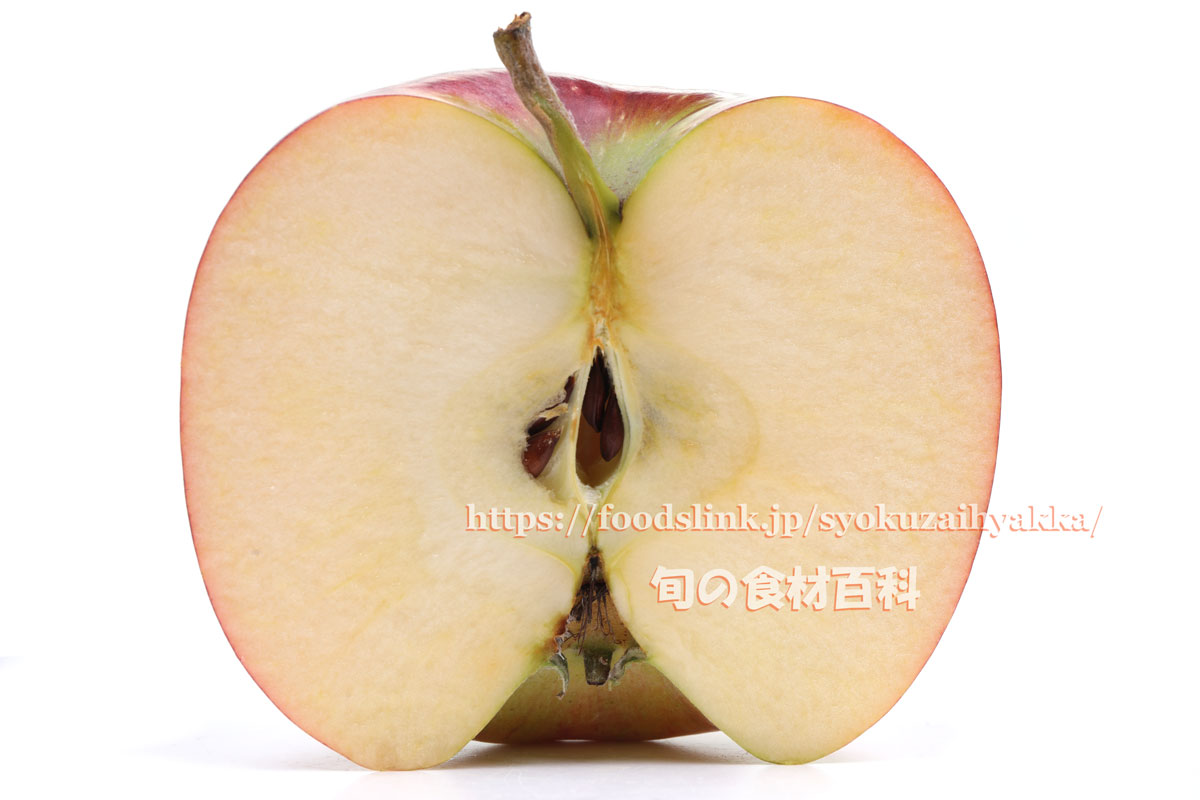 シナノリップ ＜ リンゴ：旬の果物百科