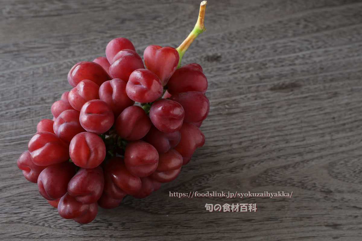 写真で見るぶどう品種「マイハート」：旬の果物百科