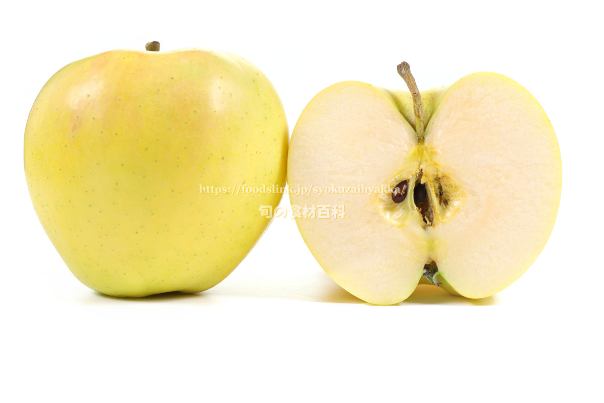 トキ リンゴの品種 旬の果物百科