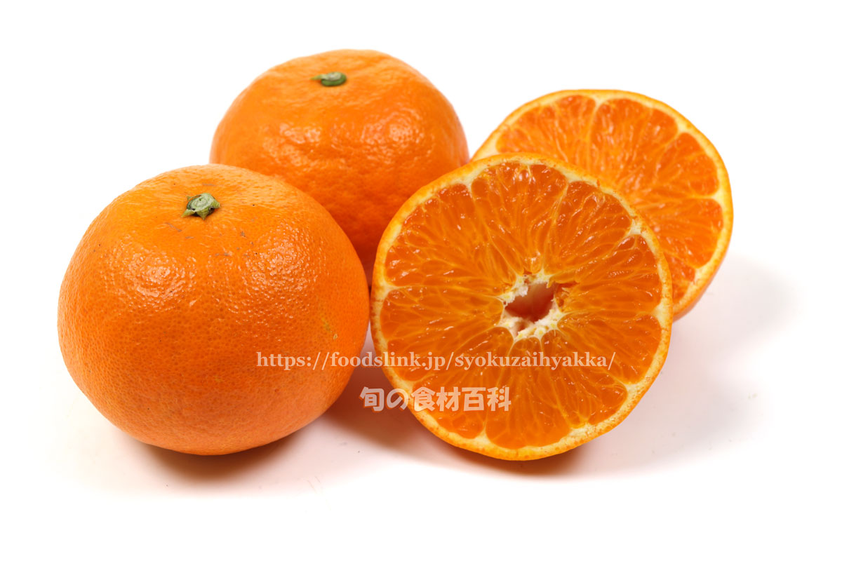 あすみ 柑橘類 旬の果物百科