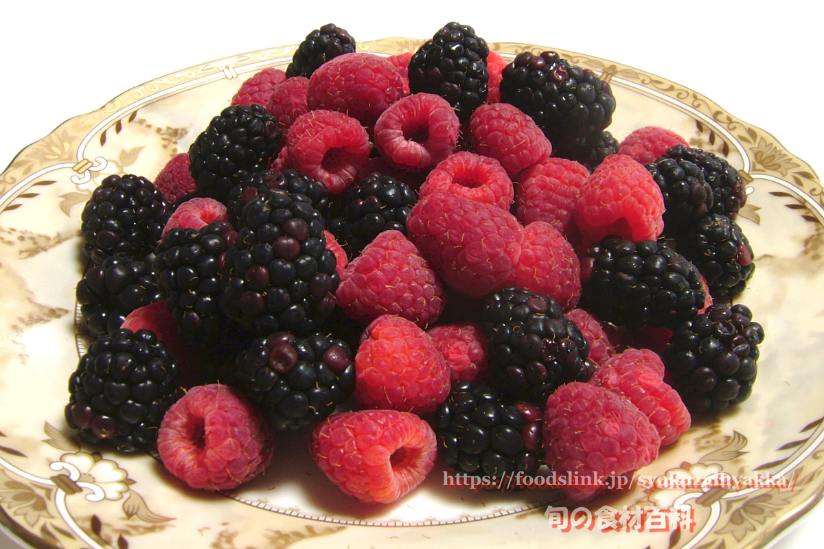 ブラックベリーの選び方と保存方法や食べ方 旬の果物百科