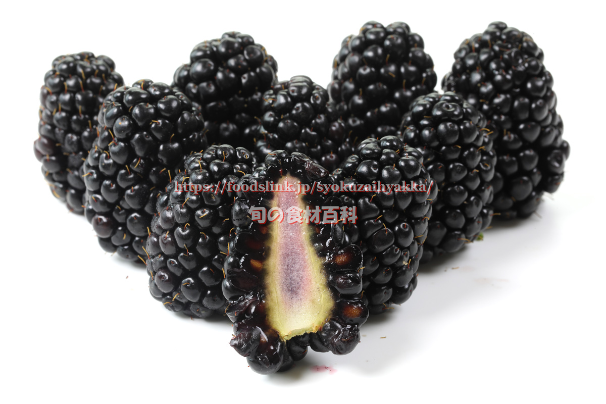 ブラックベリーの選び方と保存方法や食べ方 旬の果物百科
