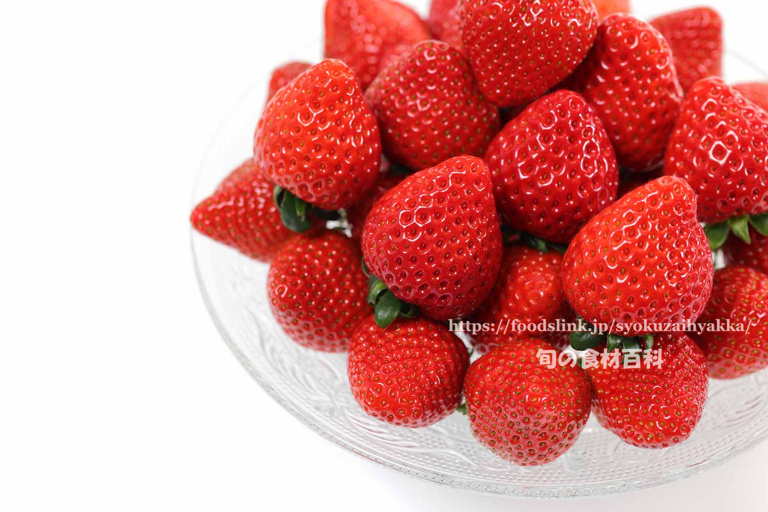 イチゴ 苺 いちご の選び方と保存方法や食べ方 旬の果物百科