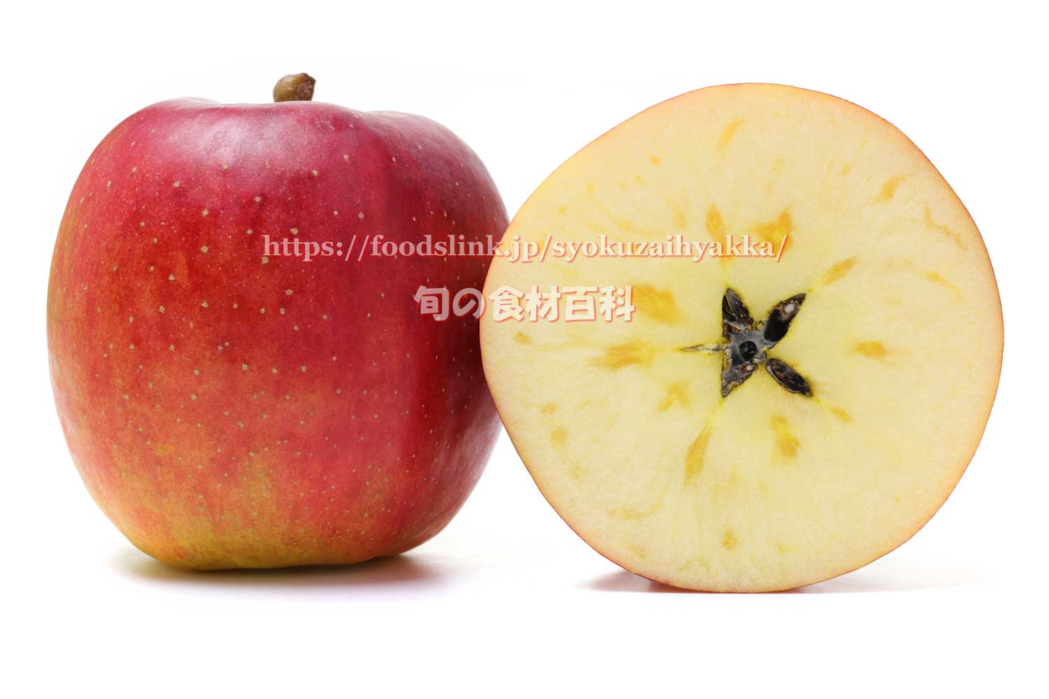 写真で見るリンゴ 北斗 ほくと 旬の果物百科