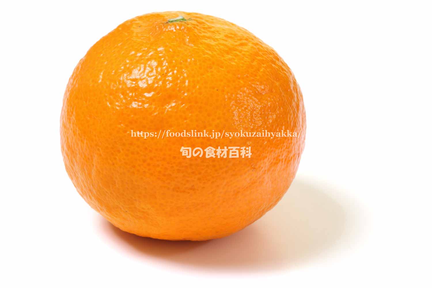 マンダリン オレンジ
