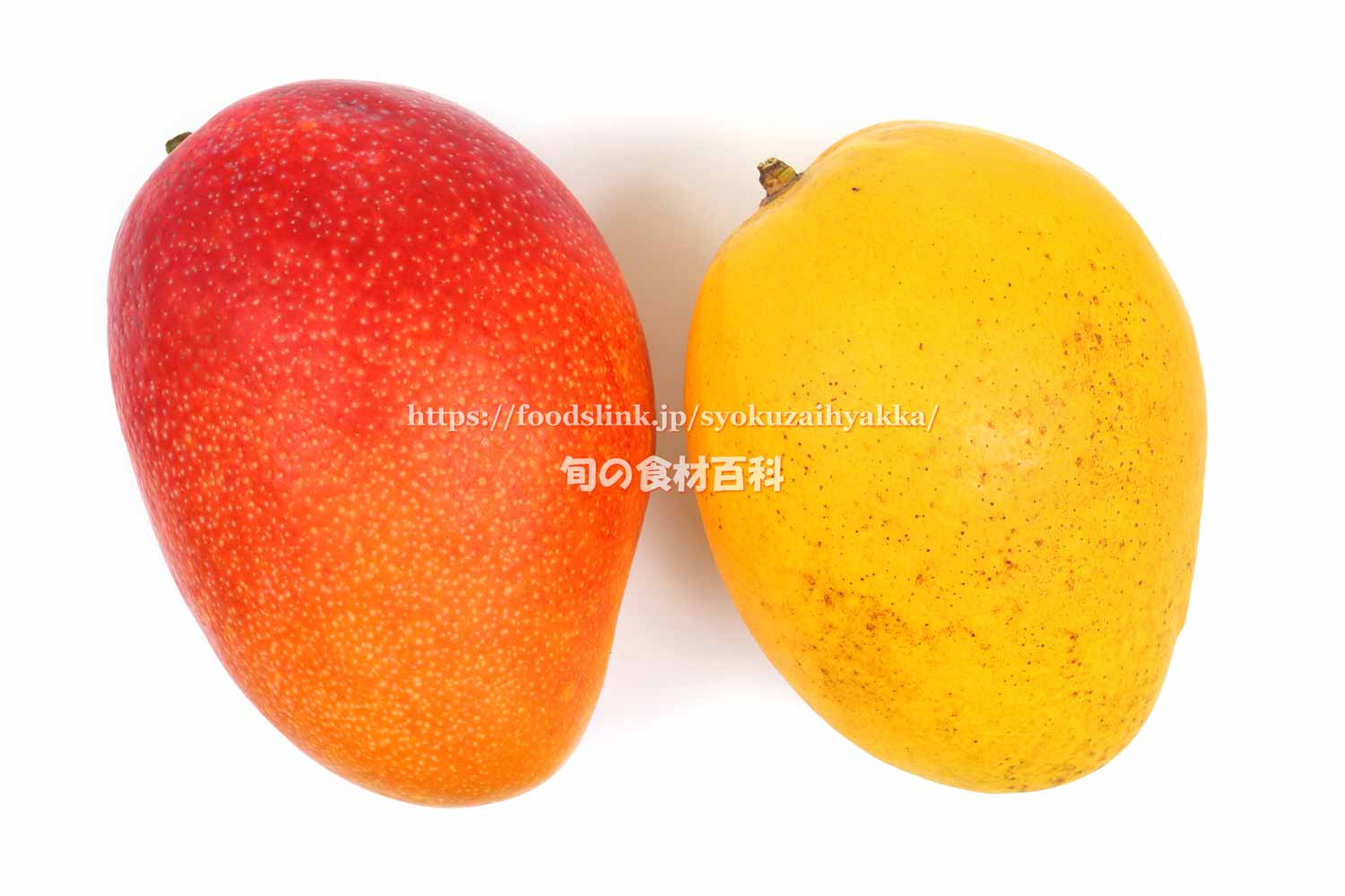 沖縄産☆おすすめ金蜜マンゴー 4.5kg - 果物