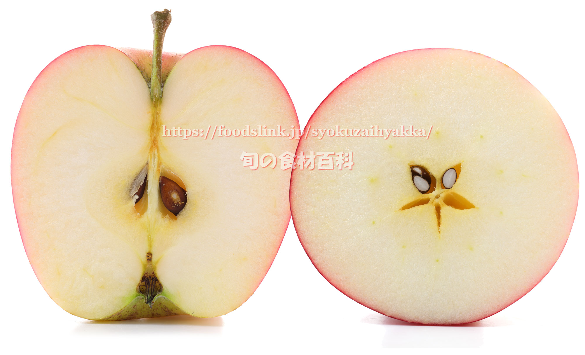 シナノプッチ りんご 旬の果物百科