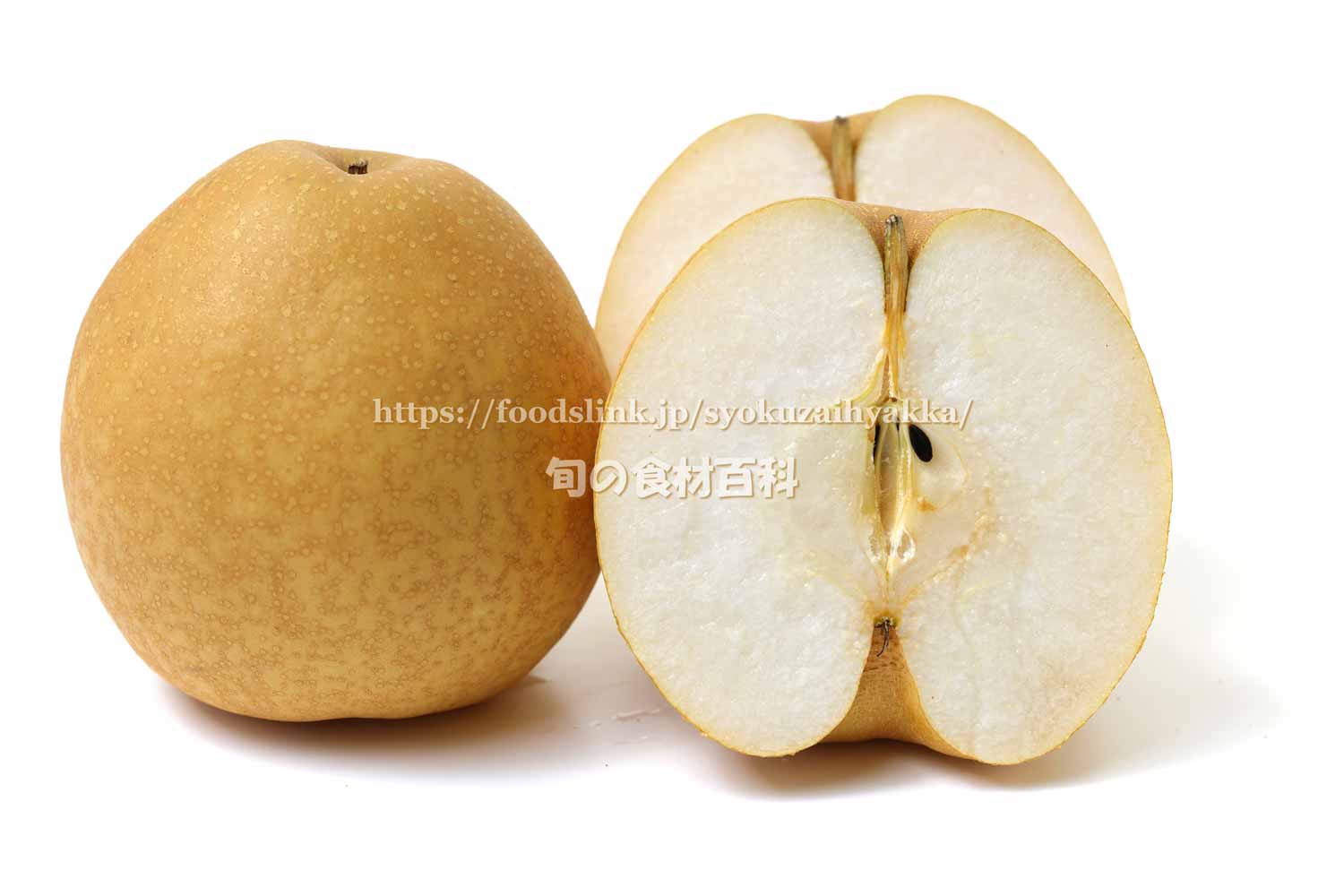 王秋梨 おうしゅうなし＜梨の品種：旬の果物百科
