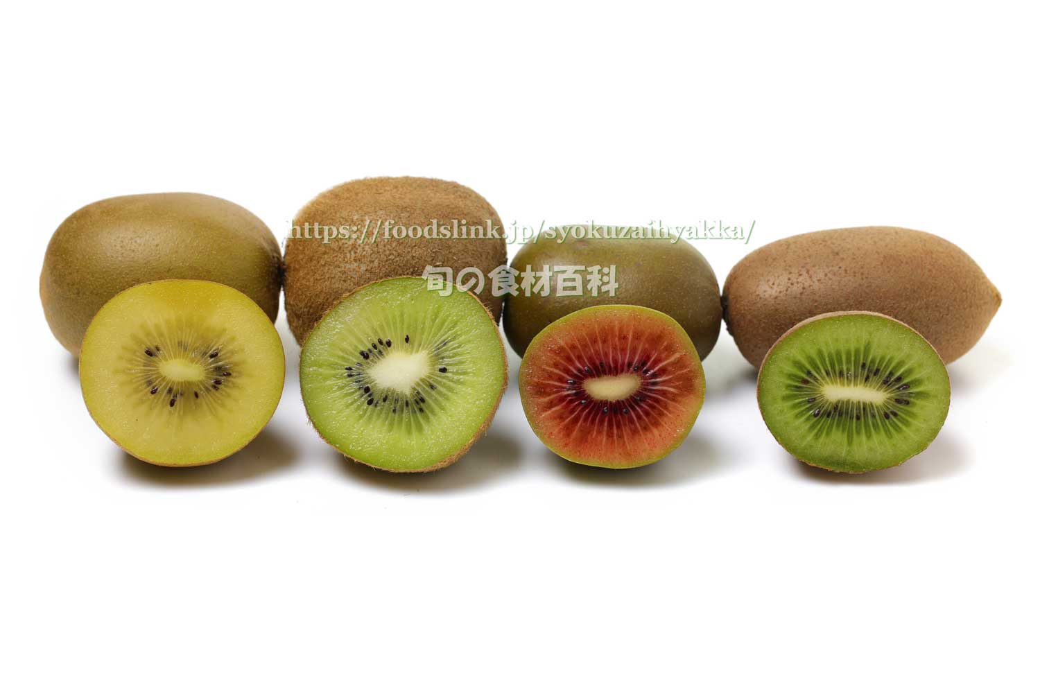 キウイフルーツ（kiwifruit）：旬の果物百科