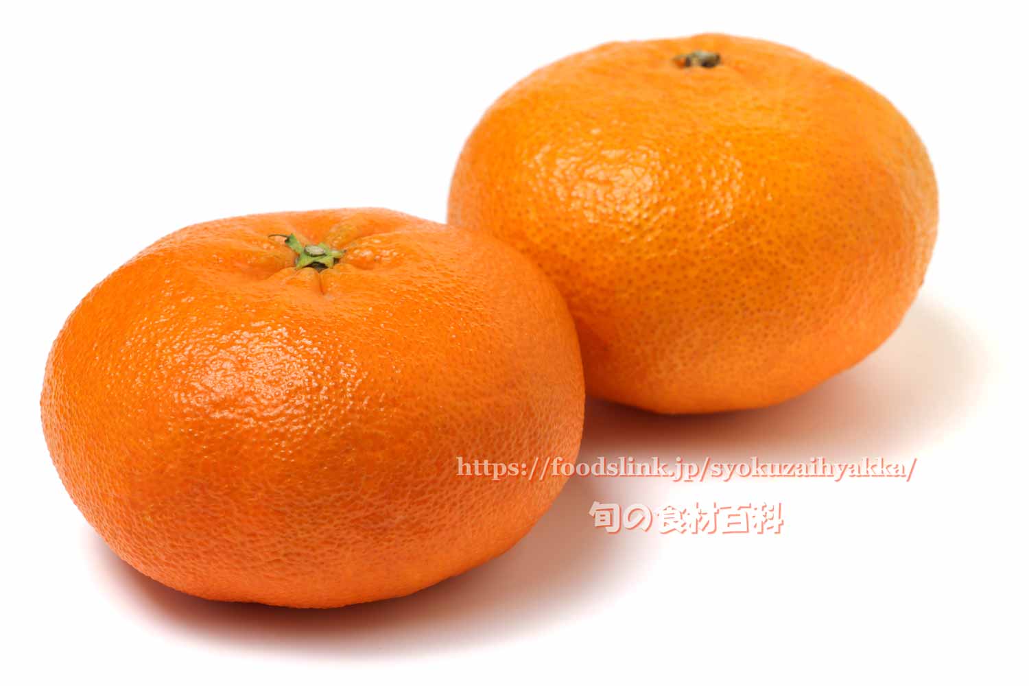 甘平（かんぺい）＜柑橘類