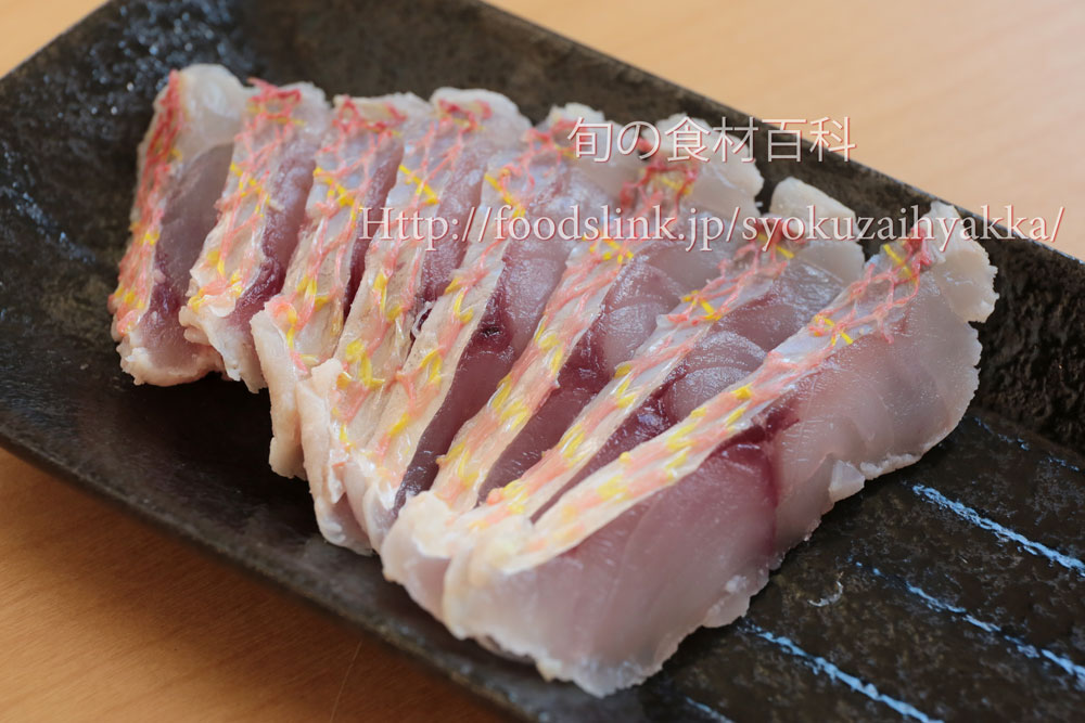イトヨリダイ 糸縒り鯛 いとよりだいの目利きと料理 旬の魚介百科