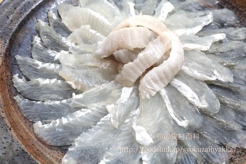 イシガレイ 石鰈のさばき方 ５枚おろし 旬の魚介百科