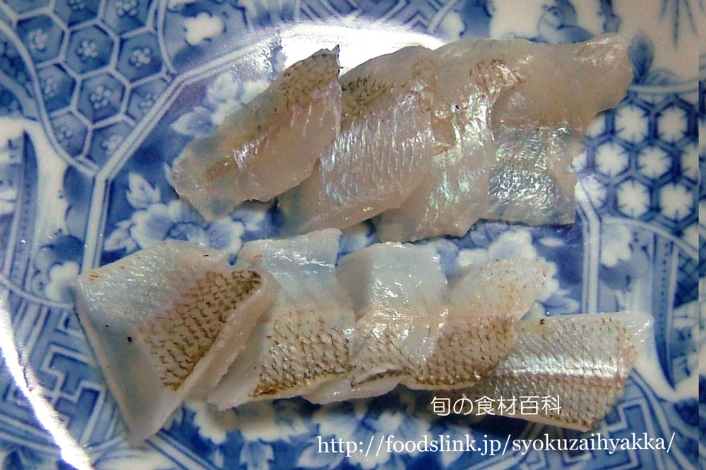 キス 鱚 シロギスの目利きと料理 旬の魚介百科