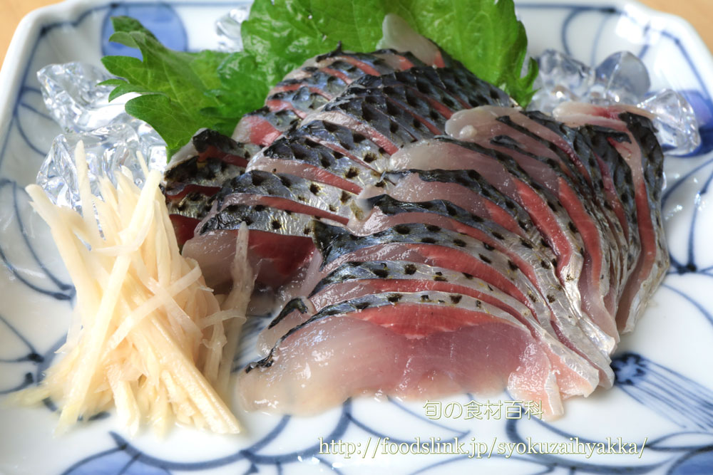 コノシロ 子代 シンコ 新子 コハダ 小鰭 の目利きと料理 旬の魚介百科