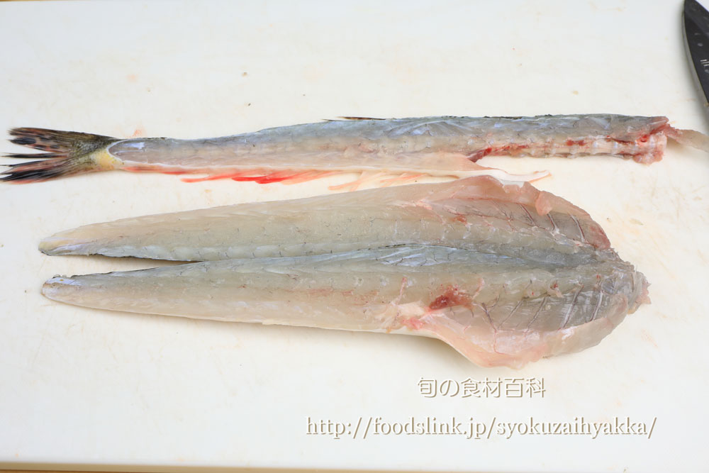 マゴチ 真鯒のさばき方 三枚ににおろす 旬の魚介百科