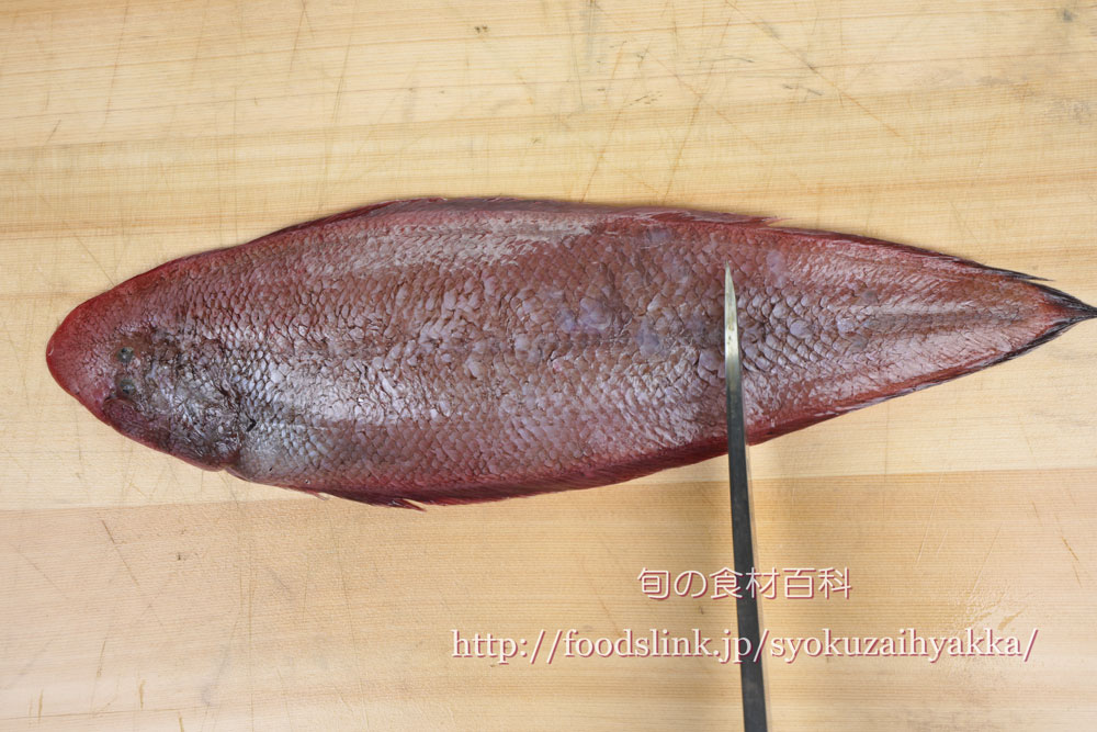 シタビラメ 舌平目 したびらめのさばき方 三枚におろす 旬の魚介百科