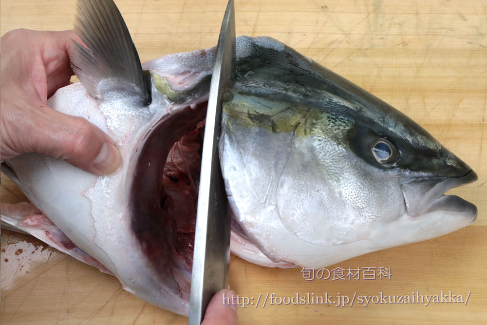 ブリ 鰤 ハマチのさばき方 三枚におろしさく取りする 旬の魚介百科