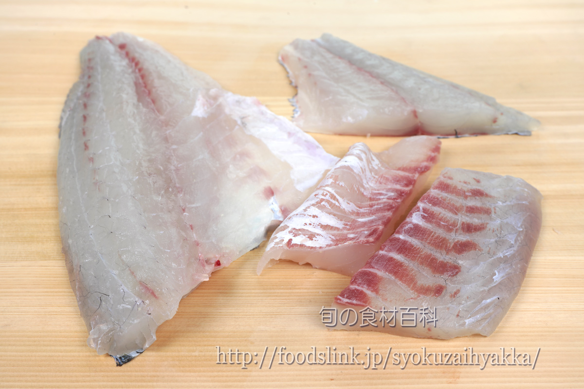 クロダイ 黒鯛 チヌの目利きと料理 旬の魚介百科