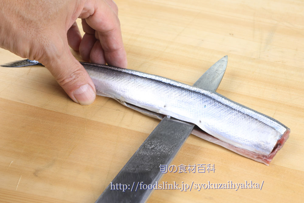 サンマ 秋刀魚 さんまのさばき方 大名おろし 旬の魚介百科