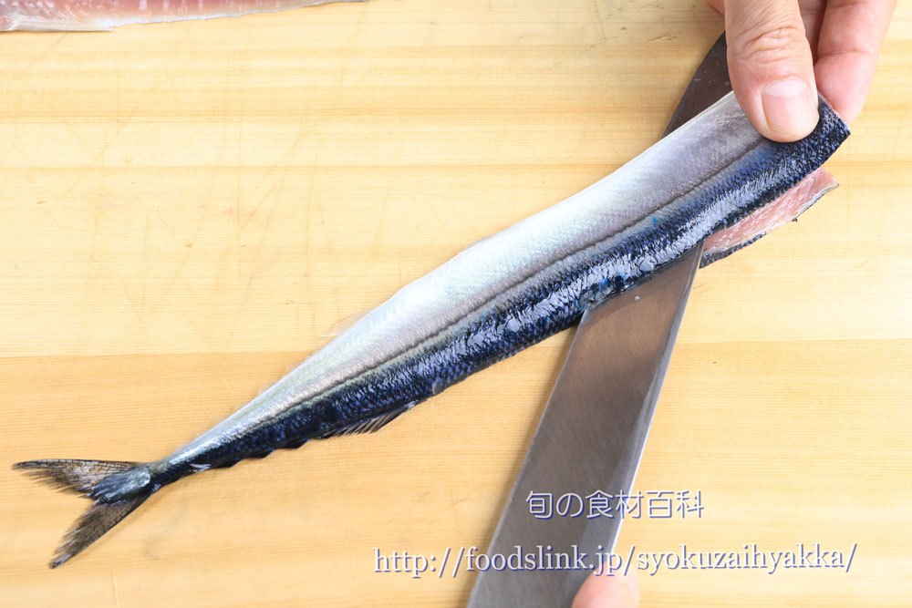 サンマ 秋刀魚 さんまのさばき方 大名おろし 旬の魚介百科