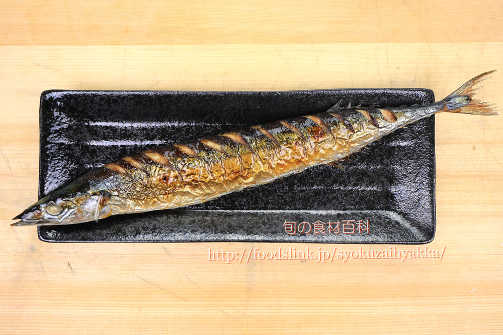 サンマ 秋刀魚 さんまの目利きと料理 旬の魚介百科