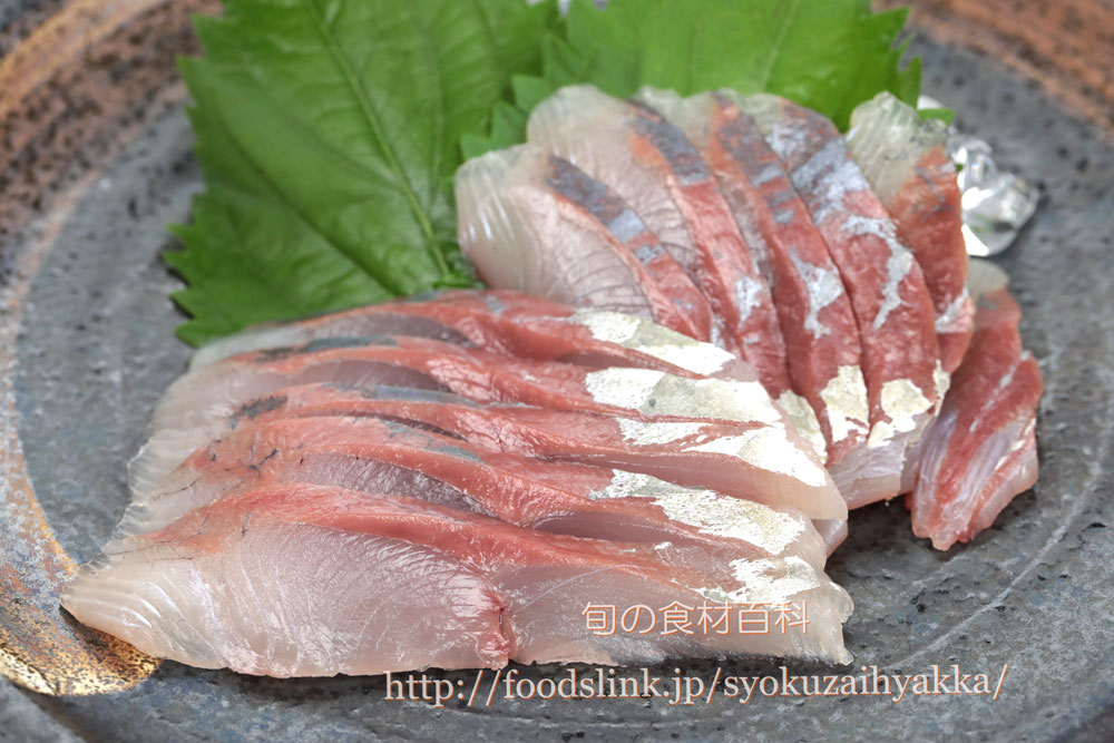 ブリ 鰤 ハマチの目利きと料理 旬の魚介百科
