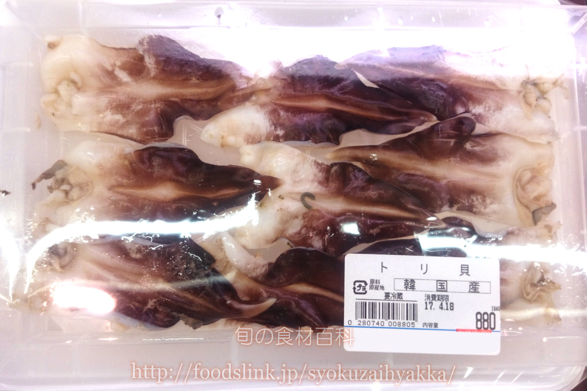 トリガイ 鳥貝 とりがい 旬の魚介百科