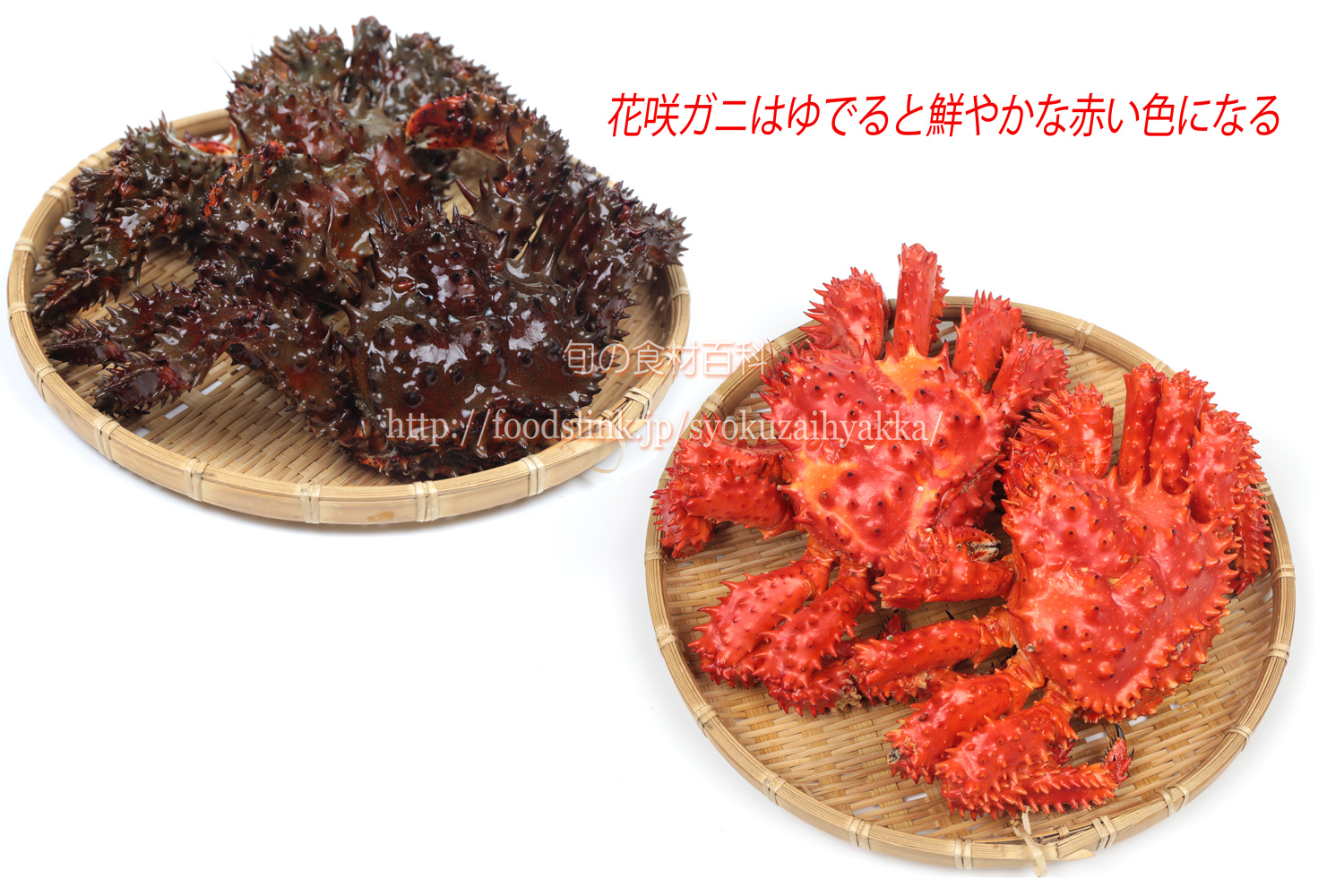 ハナサキガニ 花咲蟹 はなさきがにの目利きと料理 旬の魚介百科