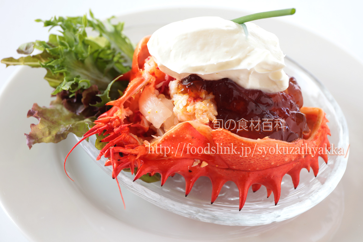 ハナサキガニ 花咲蟹 はなさきがにの目利きと料理 旬の魚介百科