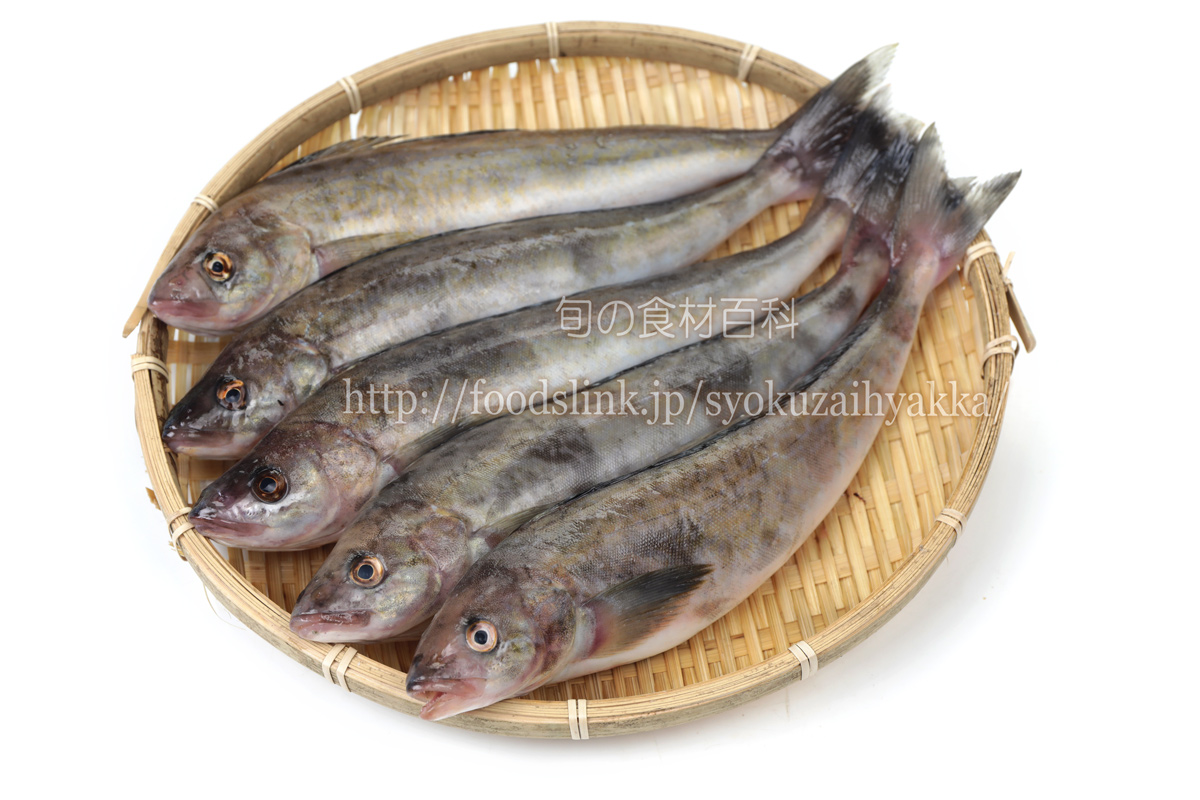 ホッケの栄養価と効用 旬の魚介百科