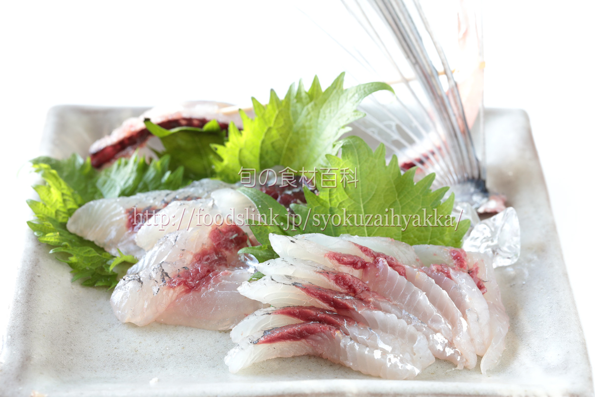 トビウオ 飛魚 とびうお の目利きと料理 旬の魚介百科