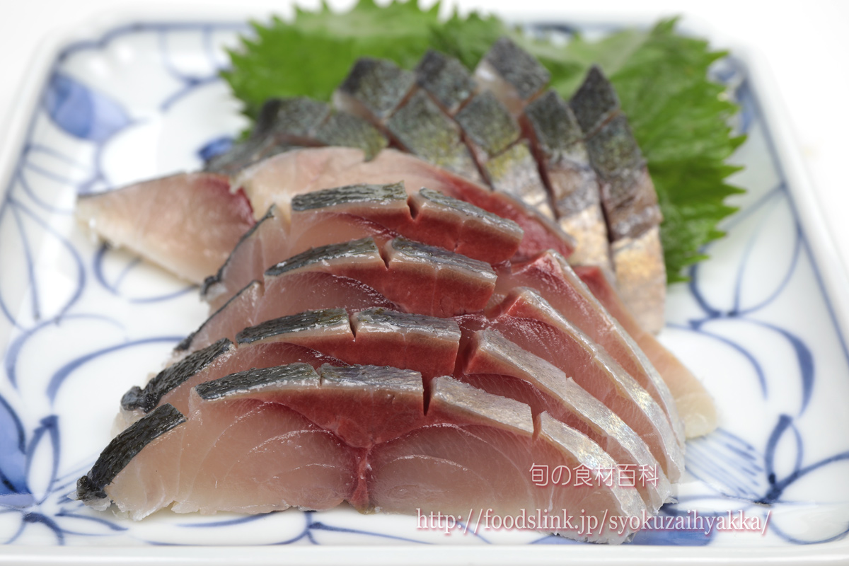ムロアジ 室鯵の目利きと料理 旬の魚介百科