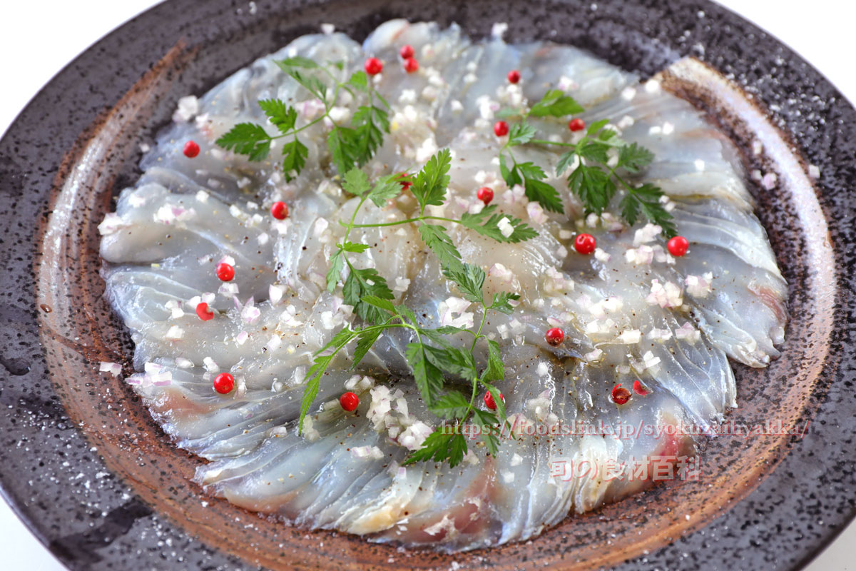 マゴチ 真鯒 コチの目利きと料理 旬の魚介百科